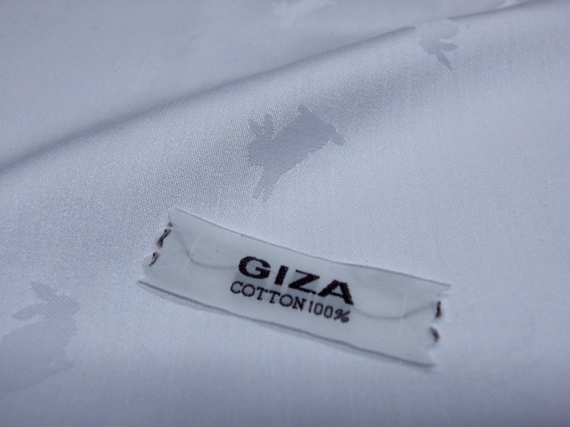 GIZA