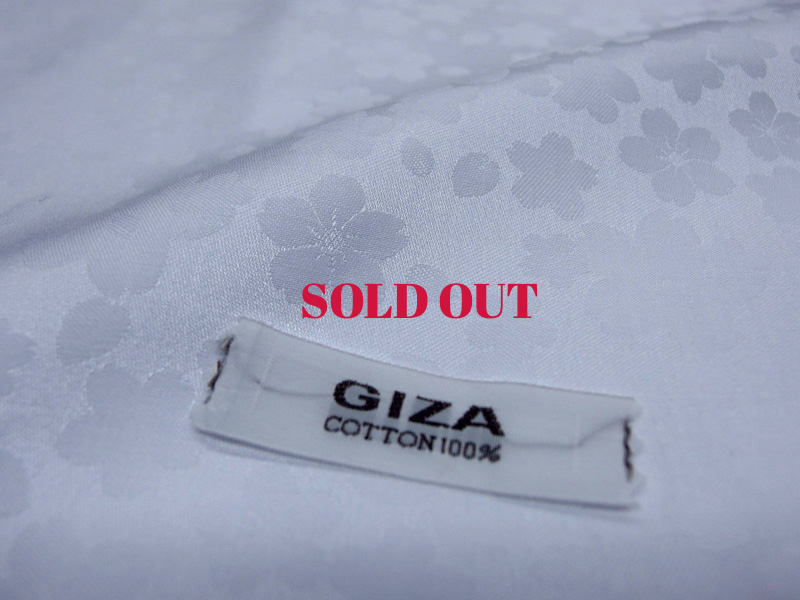 GIZA